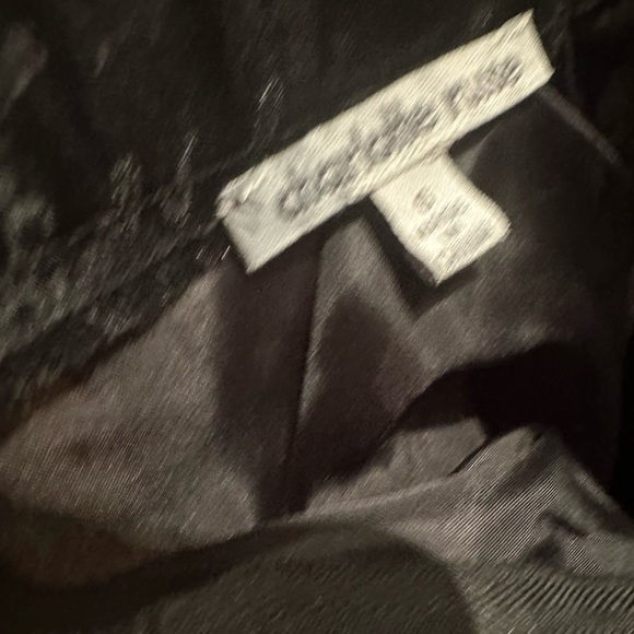 Charlotte Russe Skirt - Picture 5 of 9